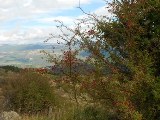 Clicca qui per vedere l'immagine in dettaglio